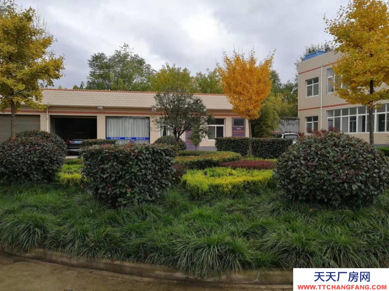 (出租) 寶雞鳳翔大面積辦公廠房出租