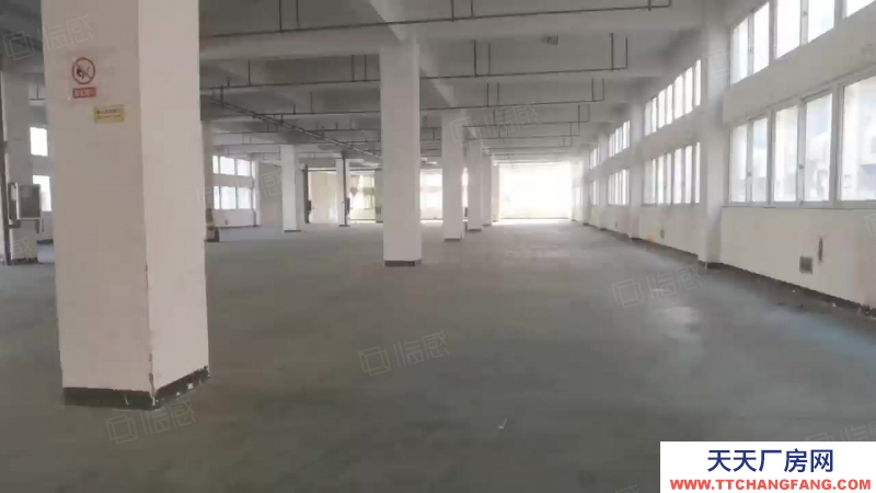 溫州龍灣(出租) 濱海三路標準廠房出租樓上1300平高度4.8米價院大好停車