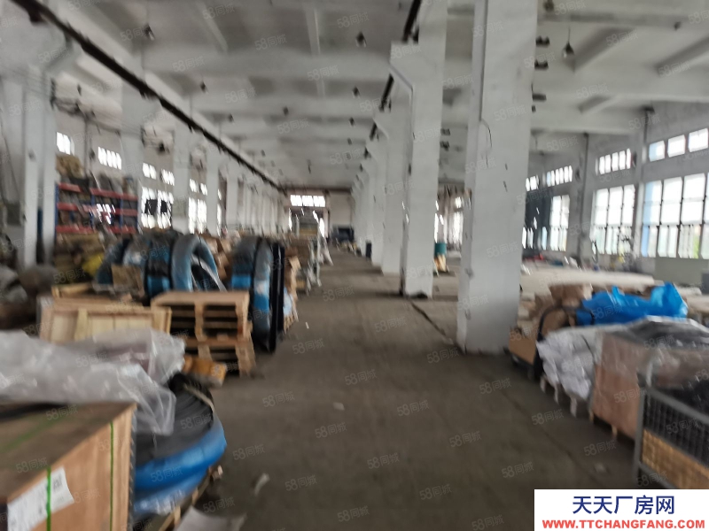 溫州龍灣(出租) 濱海獨門獨院7000平，食宿齊全，高7米，電大，行業不限