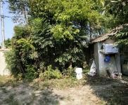 (出售) 仙桃誠心折價出售養殖場房， 省道直達 ！電力專線！