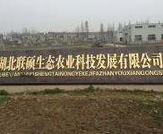 (出售)仙桃 有宿舍辦公室，門衛冷藏庫和制冰池齊全