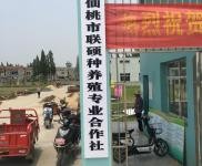 (出售)仙桃 有宿舍辦公室，門衛冷藏庫和制冰池齊全