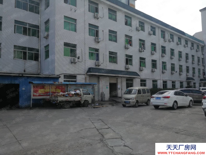 溫州龍灣(出售) 溫州大道8.2畝，建8000平，有宿舍，宜服裝貿(mào)易電商類