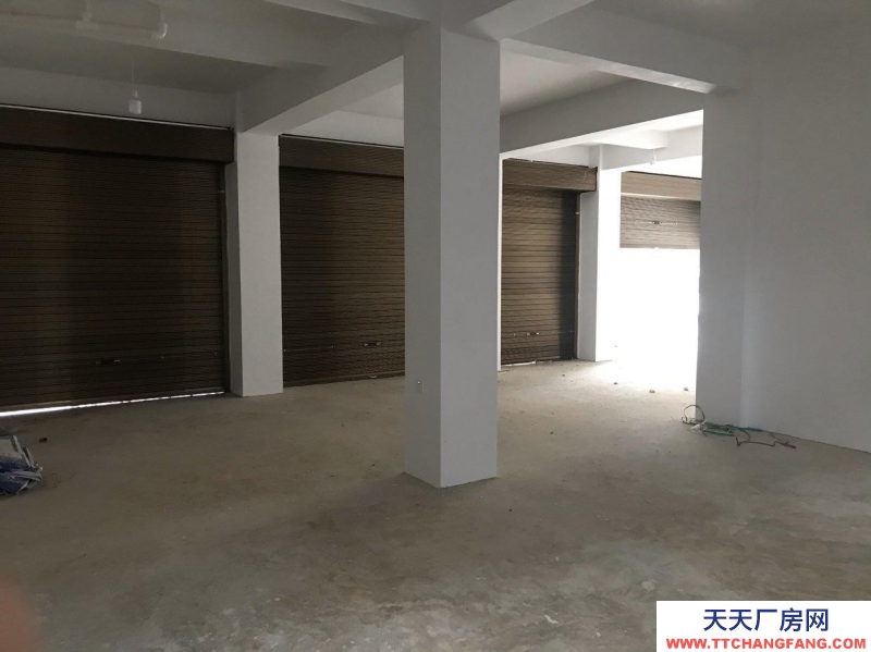 (出租) 漢中西鄉縣櫻花大道輔道門面出租