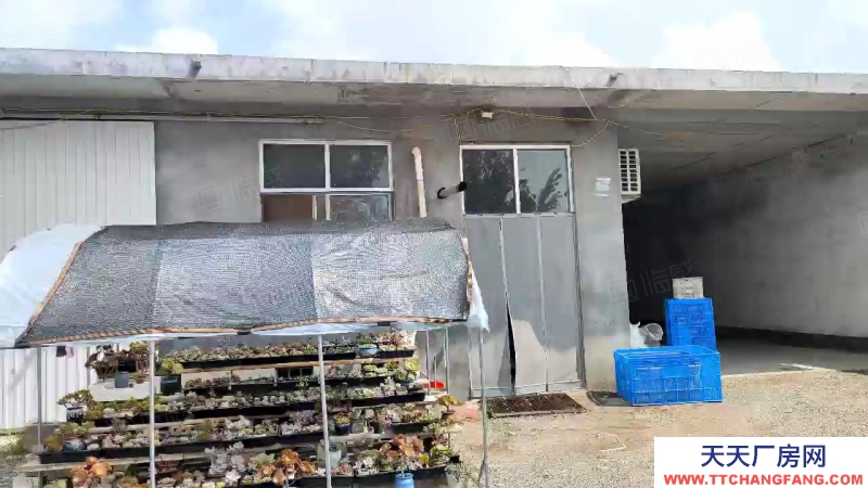 臨沂河?xùn)|九曲斜坊二畝獨(dú)院框架廠房，建設(shè)用地，水電路好