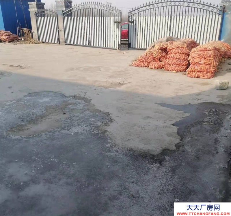 (出租)蘭州七里河 水泥墻面,彩鋼頂面,12面寬,5米高。院子彩鋼棚頂