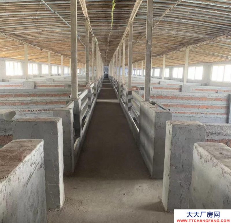 臨沂郯城養(yǎng)殖場出售 有意者電話聯(lián)系