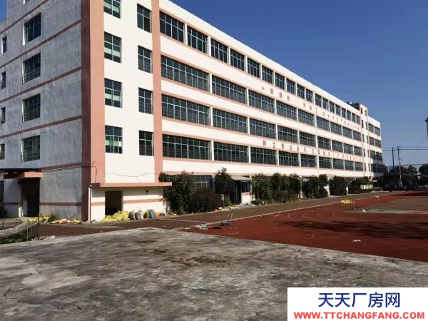 邵陽市大祥區(qū)低價出售或出租，超高性價比