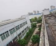 (出租) 仙桃供3層樓,可分租,磚砌敞亮透氣