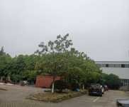 (出租) 出租楊市章華南路大型鋼構(gòu)廠房