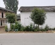 (出租) 天門面積1300多平米實際占地3畝，舊房可以按需改造可做倉庫。