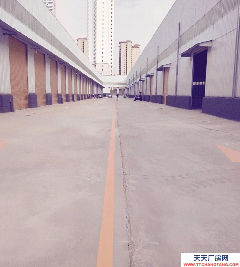 (出租) 蘭州市榆中縣和平鎮牡丹路金川科技園區