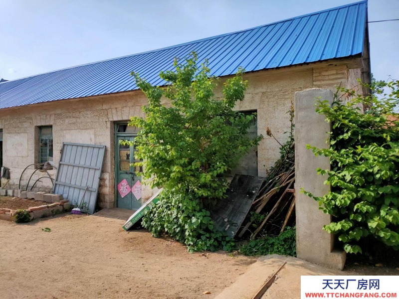 臨沂費(fèi)縣宜倉儲廠房位置佳交通方便