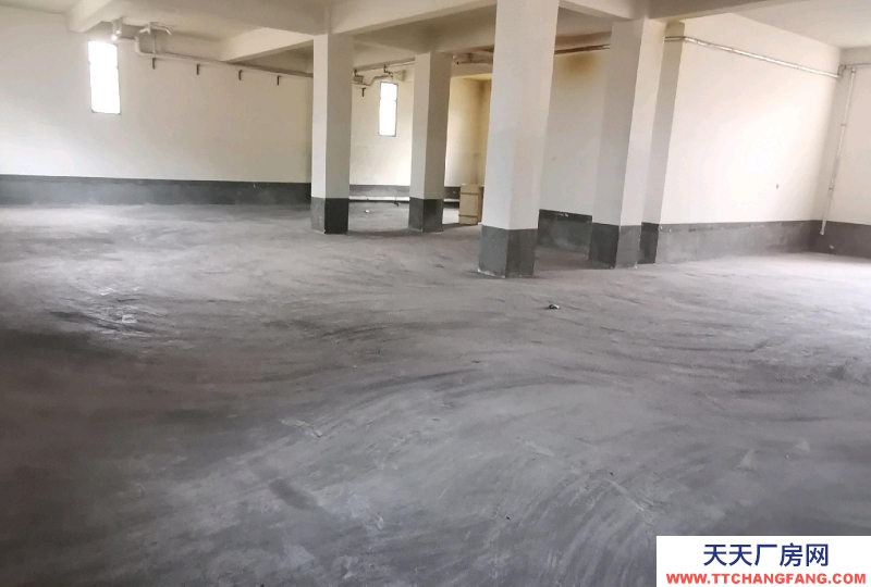 (出租) 天水秦城七里墩加油站后面庫房，場地寬闊，交通便利，大路邊，有廠院