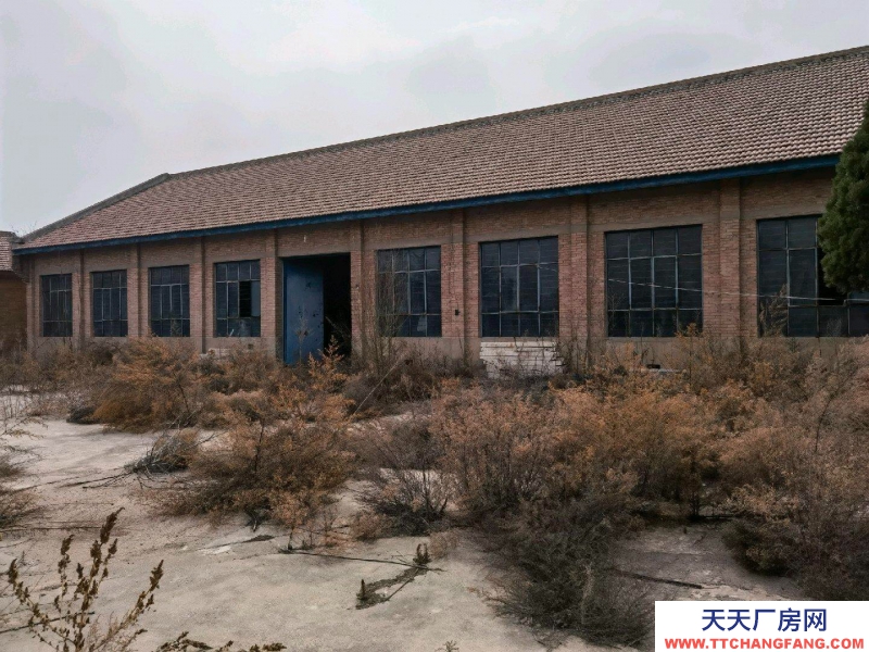 (出租)慶陽西峰 院子7畝大，里面有倉庫1000多面積，其余均為水泥院