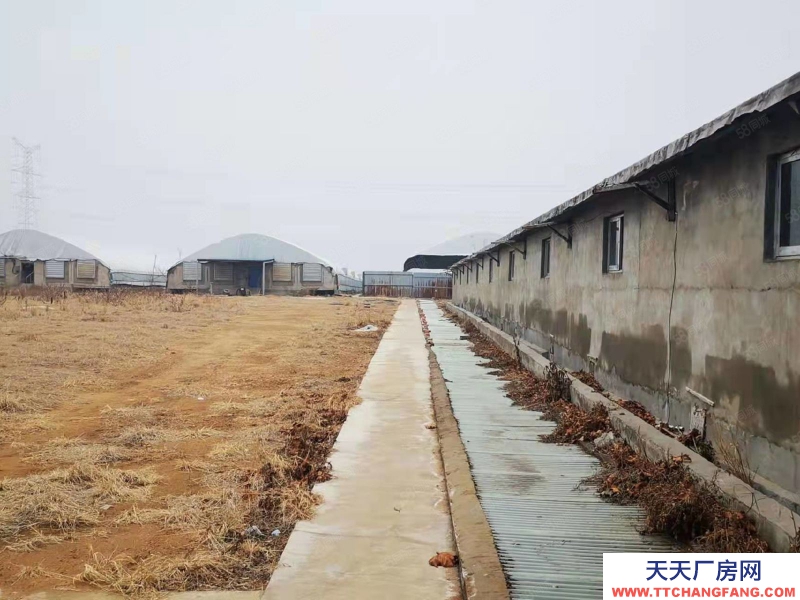 臨沂 臨沭40畝現代化養殖場，手續齊全，方正獨院，水電路好，養豬鴨