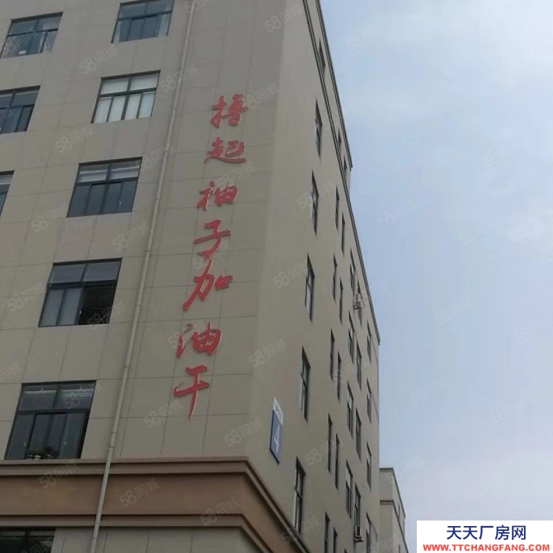 溫州平陽(出租) 國道邊廠房樓上，形象好進(jìn)出方便適合各行各業(yè)