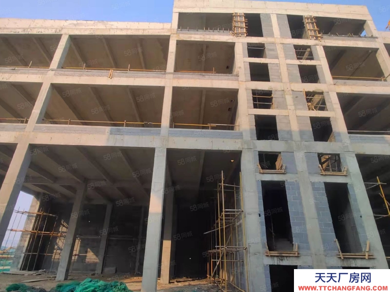 泰安泰山高鐵 獨棟 雙拼 四層 標準化商業工業園 可自由分割大產權