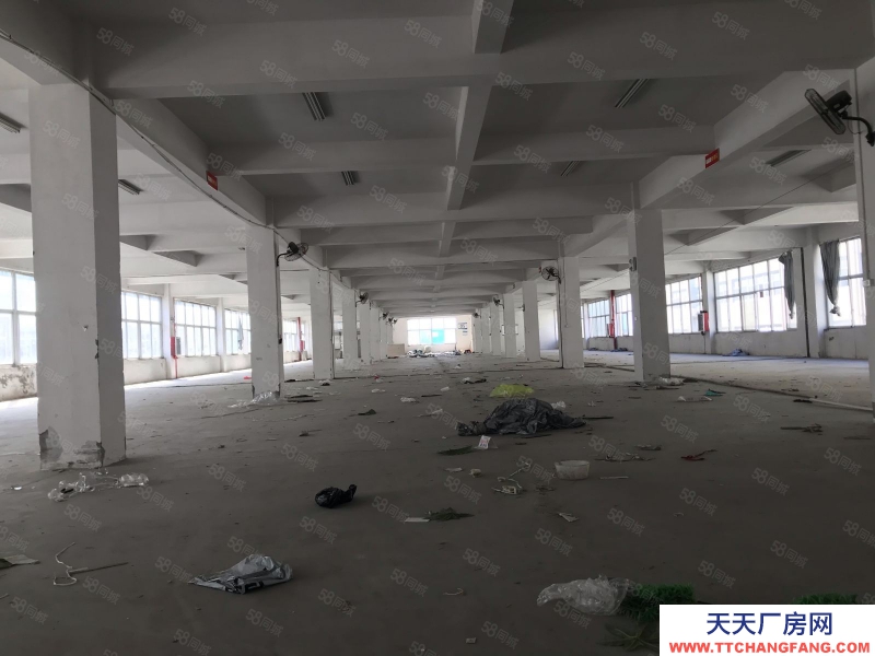 溫州平陽(出租) 標準廠房二樓出租，18含稅，貨梯10噸適合做機械帶行車