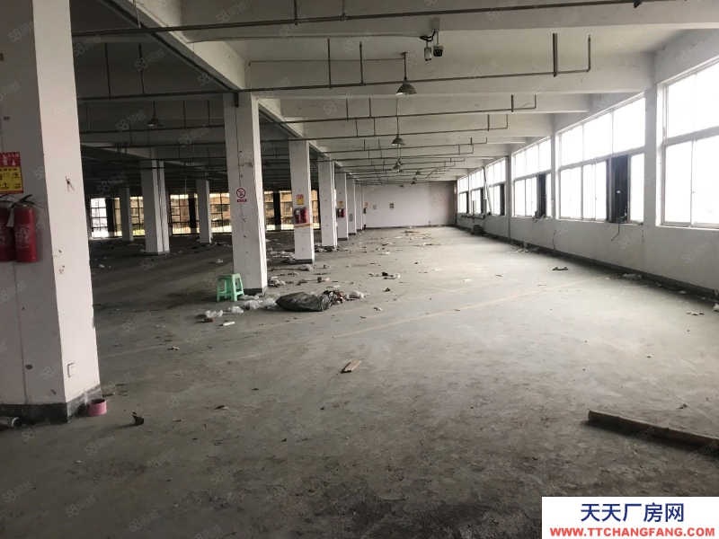 溫州平陽(出租) 標(biāo)準(zhǔn)廠房一幢可分出租適合做家具