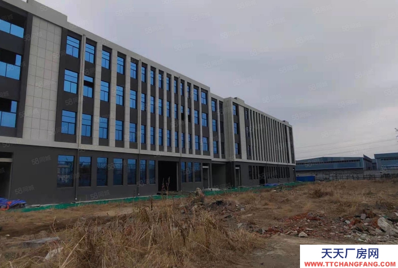泰安泰山博陽路 省莊工業園 大型寫字樓 廠房 車間 可租可售！