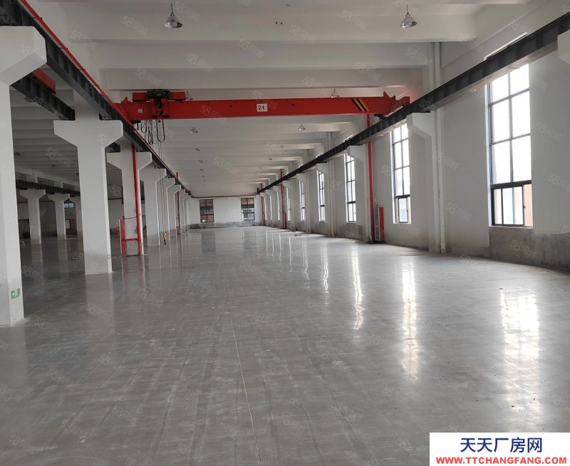 溫州平陽(yáng)(出售) 出售平陽(yáng)獨(dú)門獨(dú)院10畝建筑面積8500平方一樓利用率高