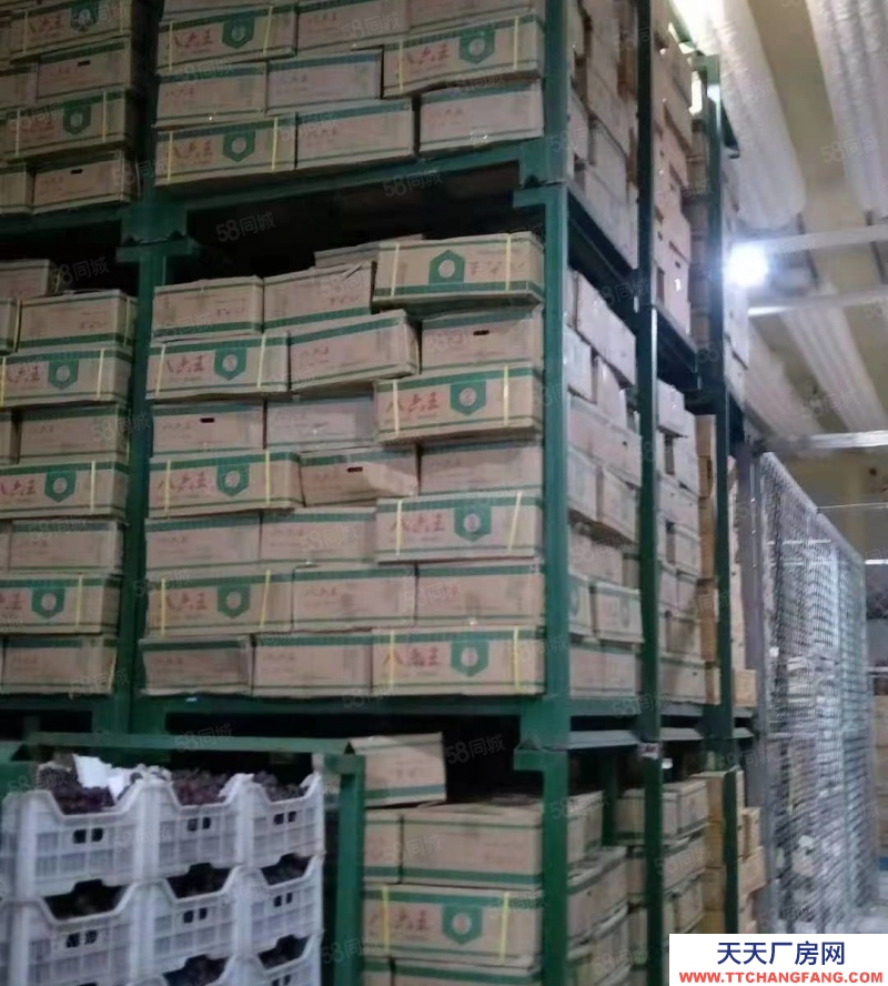 (出租) 大連甘井子區(qū)西北路軍合冷庫(kù)內(nèi)冷庫(kù)現(xiàn)對(duì)外招商