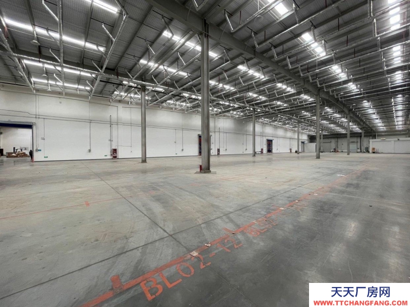 (出租) 大連金州金普新區高標丙二類倉庫。生產、存儲、物流等企業可入駐