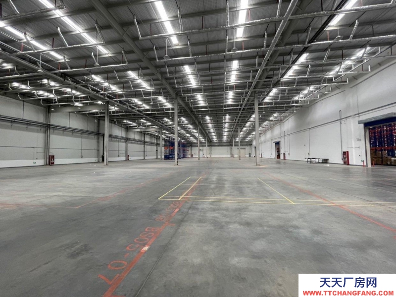 (出租) 大連金州金普新區(qū)高標丙二類倉庫。生產(chǎn)、存儲、物流等企業(yè)可入駐