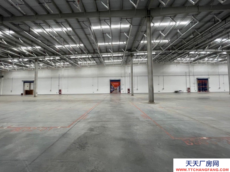 (出租) 大連金州金普新區高標丙二類倉庫。生產、存儲、物流等企業可入駐