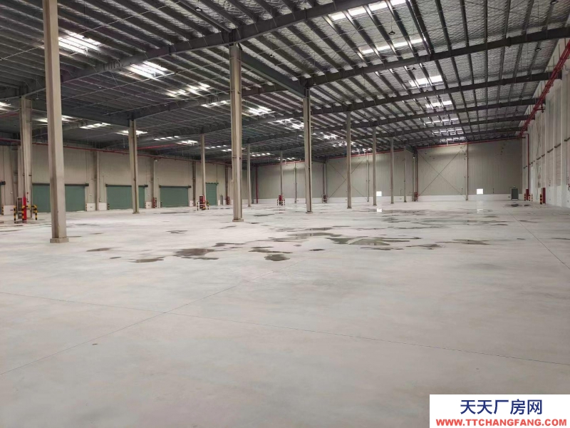 (出租) 大連市金州金普新區(qū)丙二類高標倉庫，生產(chǎn)、加工、物流倉儲均可