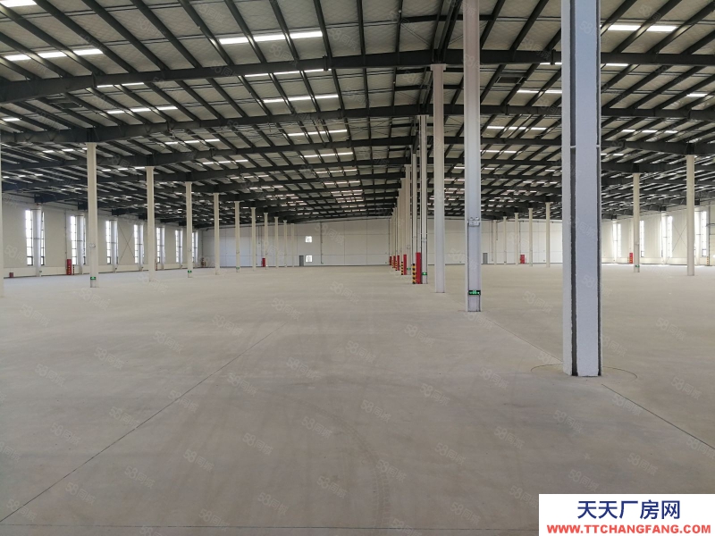 (出租) 大連金州區(qū)獨院30000平米倉庫出租（可以分租）適合物流公司