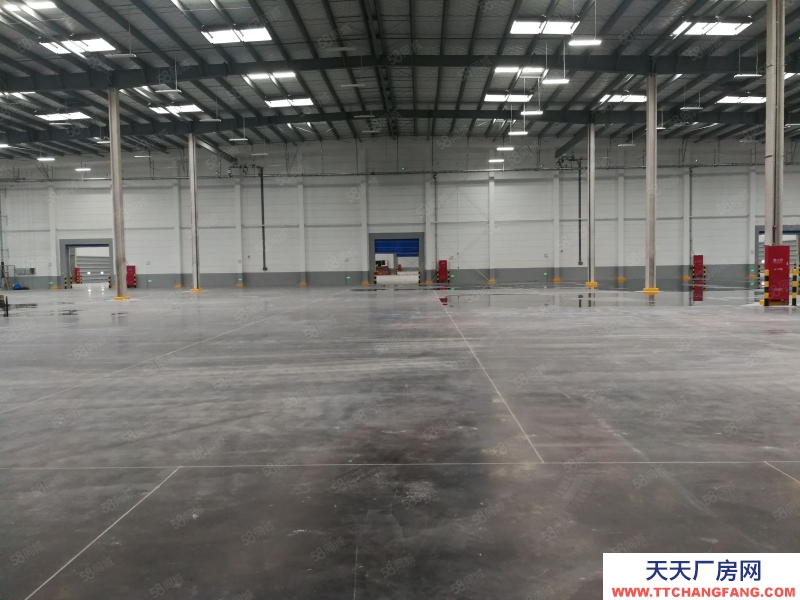 (出租) 大連金州區(qū)獨院30000平米倉庫出租（可以分租）適合物流公司