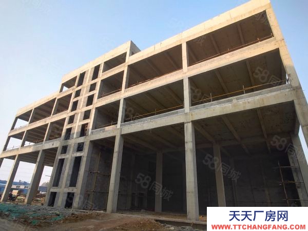 泰安岱岳獨棟雙拼四層標準化廠房 可自由分割 五十年大產權 可定制