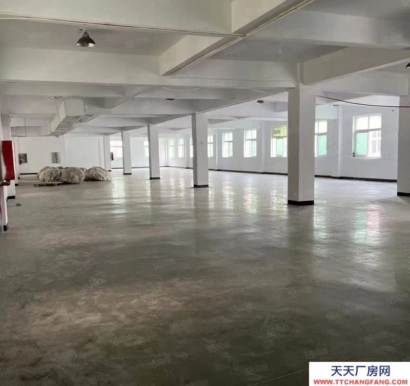 溫州蒼南縣(出租) 房東直租 蒼南金鄉鎮龍金大道二樓1000平標準廠房 交通便利