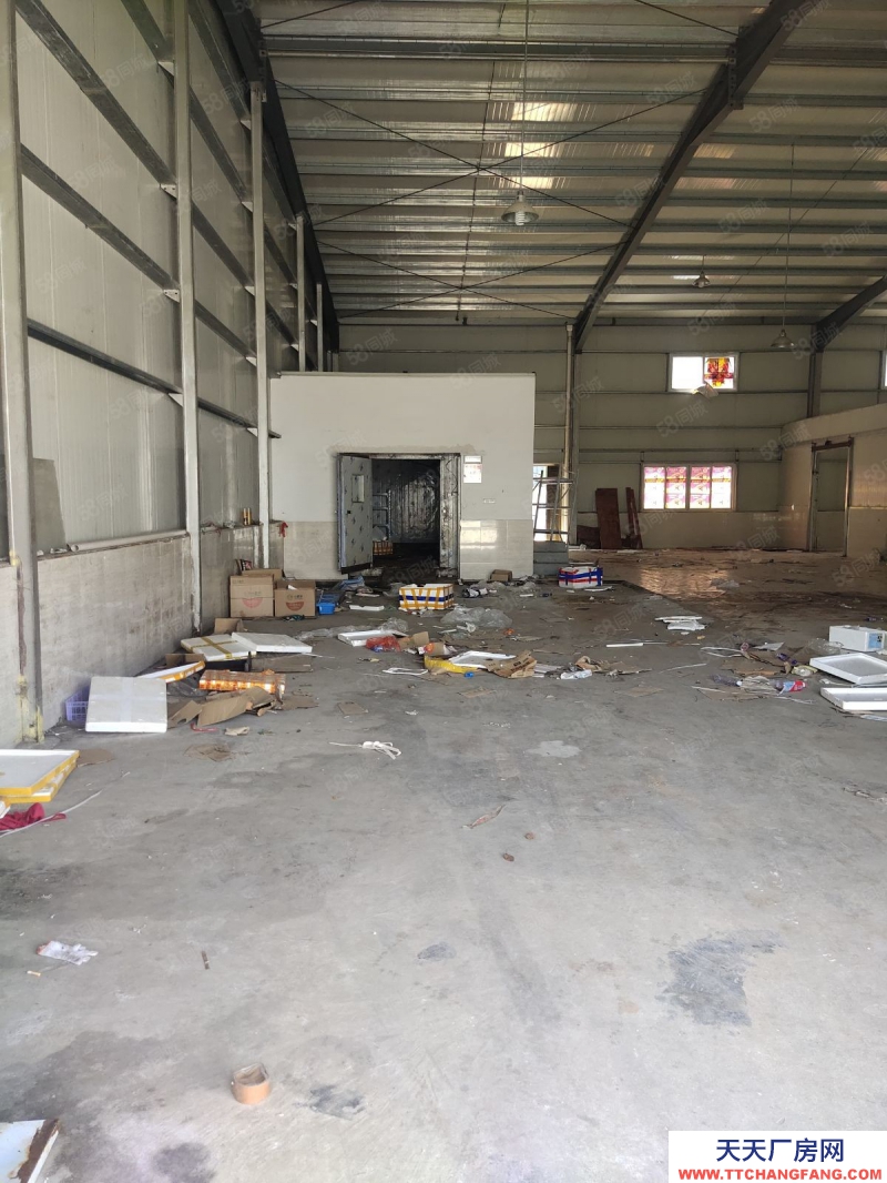 溫州蒼南縣(出租) 靈溪山海大道廠房出租鐵皮房層高7米前后面很寬