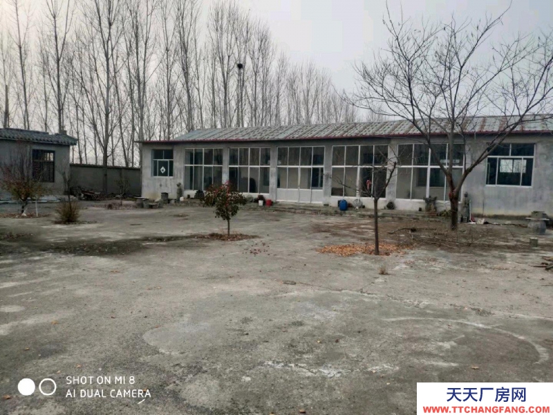 泰安寧陽交通便利，有廠房千余平可倉儲可加工