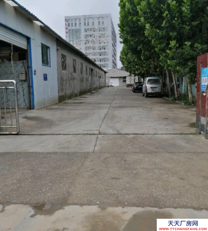 泰安寧陽400平米500平米各一套，辦公室三間