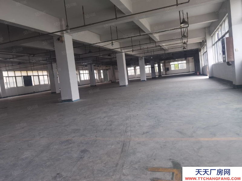 溫州蒼南縣(出售) 蒼南工業(yè)區(qū)大廠房50畝建筑35000平方出售1.2億.