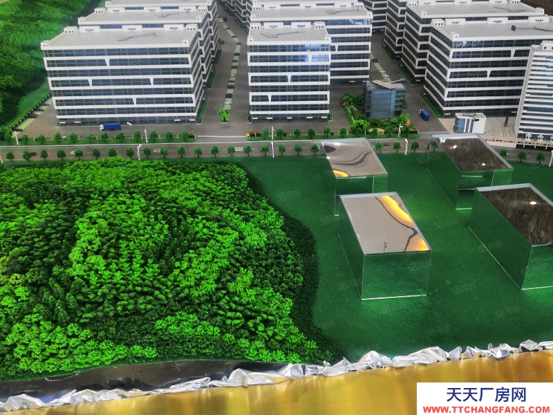 溫州蒼南縣(出售) 分水關(guān)小微園廠房出售，面積1000平米到5000平米價(jià)格面談