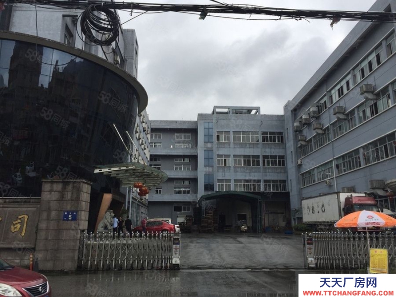溫州蒼南縣(出售) 澤雅戈恬工業(yè)區(qū)4畝6500平位置好性價(jià)比高行業(yè)不限可騰空證齊