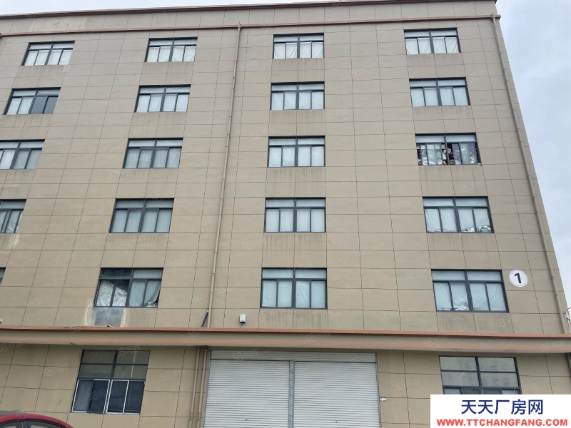 溫州蒼南縣(出售) 宜山獨(dú)門獨(dú)院8畝地出售12000平三證齊全好過戶