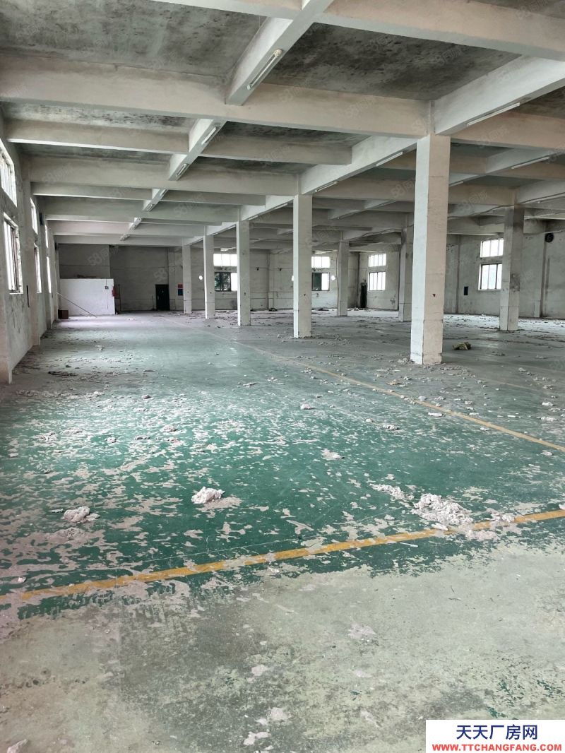 溫州蒼南縣(出售) 宜山獨(dú)門獨(dú)院8畝地出售12000平三證齊全好過戶