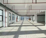 (出租) 楊浦，房東直租，適合直播展廳，研發實驗辦公，組裝測試，形象好