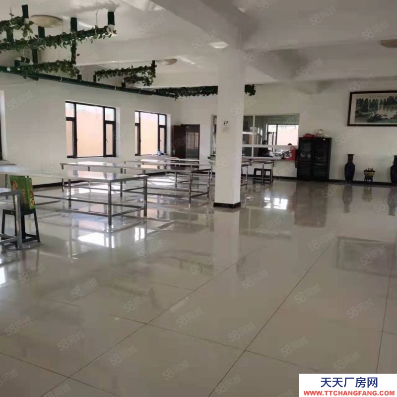 (出租) 大連金州標準廠房出租，格局好，寬敞明亮可做多種經營，可分租