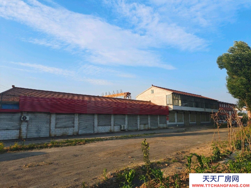 (出租) 208國道附近，交通便利，停車方便，離市區近