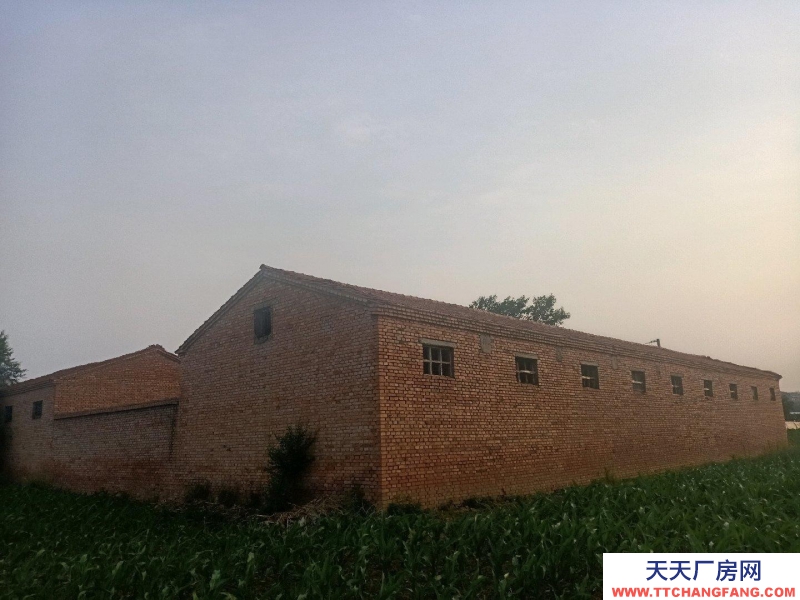 (出租) 有深層機井，有三相電