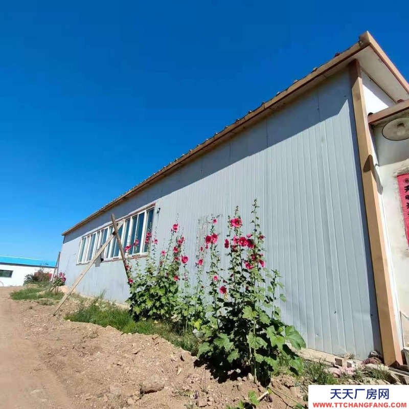 (出租) 呼和浩特新城區東郊300平米庫房出租