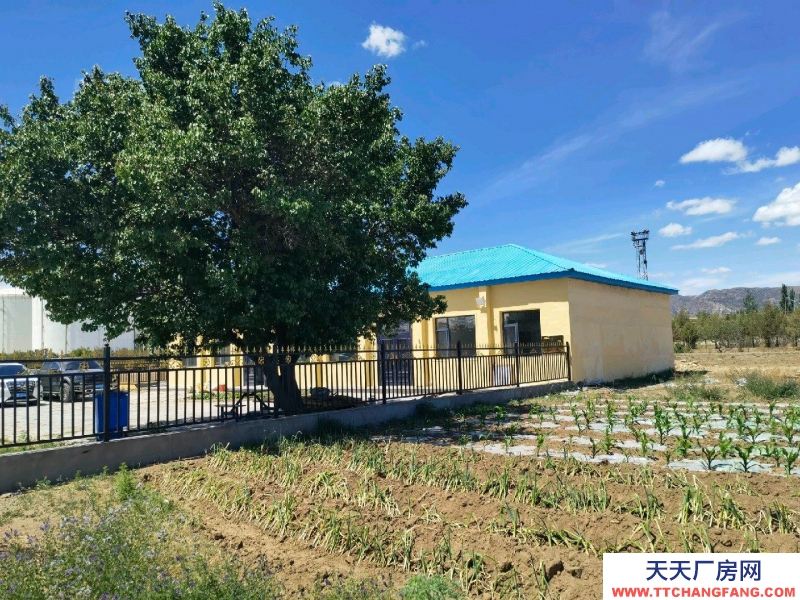 (出租) 呼和浩特新城區緊鄰110國道，交通便利，有三項電。具體事項面議