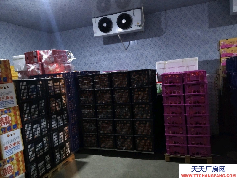 (出租)呼和浩特玉泉區冷庫、恒溫庫、水果蔬菜庫、貨物托管、倉庫代管